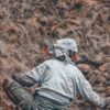 Coir Fibre